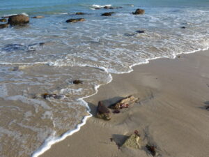 Michaela D. 10/ 10 Sep 20, 2025