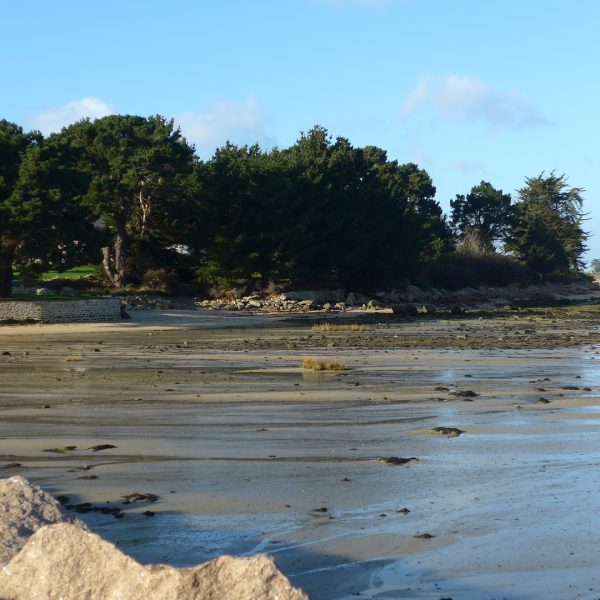 Der Strand ist 900 Meter von die Villa